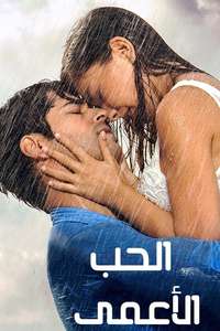 Endless Love - Posters