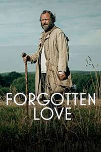 Forgotten Love - Poster