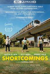 Shortcomings