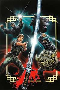 Ninja Destroyer - Poster