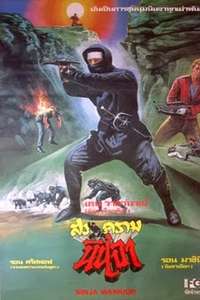 Ninja Warriors - Poster