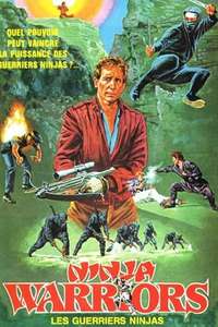Ninja Warriors - Poster