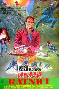 Ninja Warriors - Poster