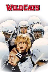 Wildcats - Poster