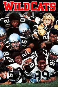 Wildcats - Poster