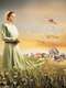 Amish Grace