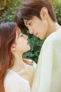 Hidden Love - Posters