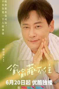 Hidden Love - Posters