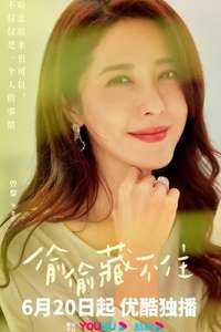 Hidden Love - Posters
