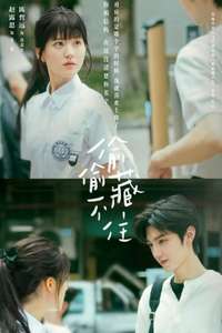 Hidden Love - Posters