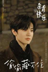 Hidden Love - Posters