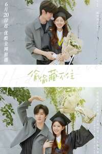 Hidden Love - Posters