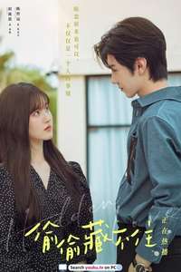 Hidden Love - Posters