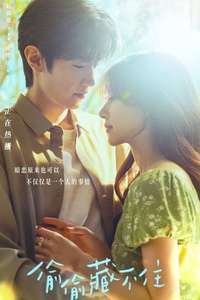 Hidden Love - Posters