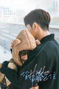 Hidden Love - Posters