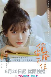 Hidden Love - Posters