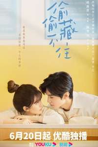 Hidden Love - Posters