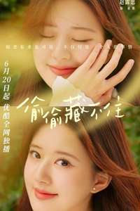 Hidden Love - Posters