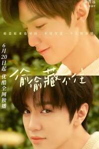 Hidden Love - Posters