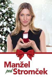 Married by Christmas - Poster