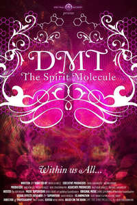 DMT: The Spirit Molecule - Poster