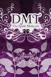 DMT: The Spirit Molecule
