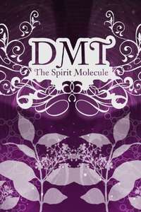 DMT: The Spirit Molecule - Poster