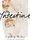 The Intestine