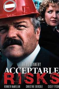 Acceptable Risks - Poster