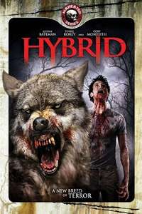 Hybrid - Poster