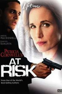 At Risk - Poster