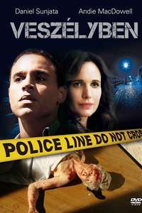 At Risk - Poster