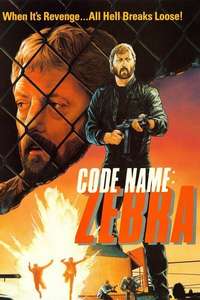 Code Name: Zebra - Poster