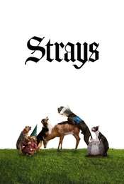 Strays