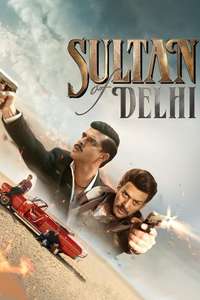 Sultan Of Delhi - Posters