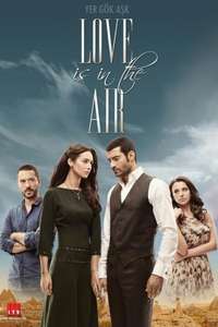Love Is In The Air - Posters