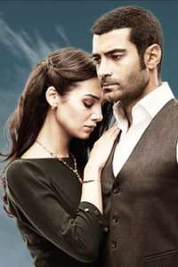 Love Is In The Air - Posters