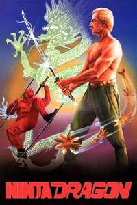 Ninja Dragon - Poster
