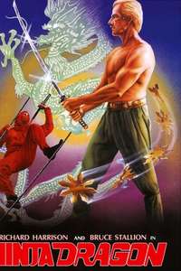 Ninja Dragon - Poster