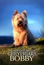 The Adventures of Greyfriars Bobby