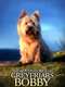 The Adventures of Greyfriars Bobby
