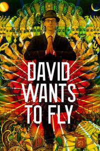David Wants to Fly - Poster