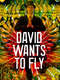 David Wants to Fly