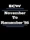 ECW November to Remember 1995