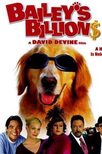 Bailey's Billion$ - Poster
