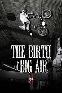 The Birth of Big Air - Poster