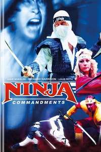 Ninja Commandments - Poster