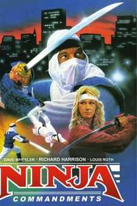 Ninja Commandments - Poster