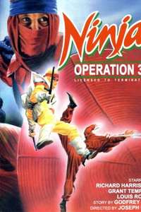 Ninja Operation: Licensed to Terminate - Poster