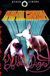 Animal Charm: Golden Digest - Poster